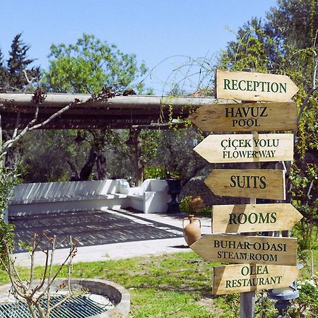 Olive Farm Of Datca Guesthouse (Adults Only) Bagian luar foto
