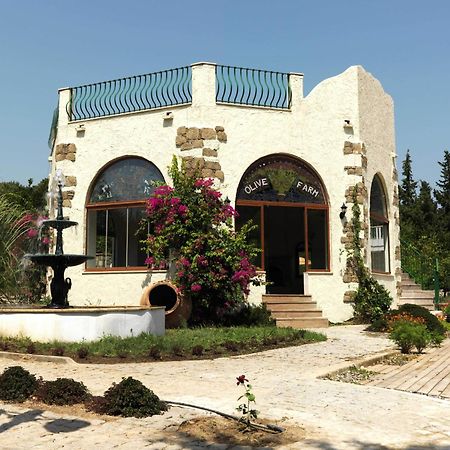 Olive Farm Of Datca Guesthouse (Adults Only) Bagian luar foto