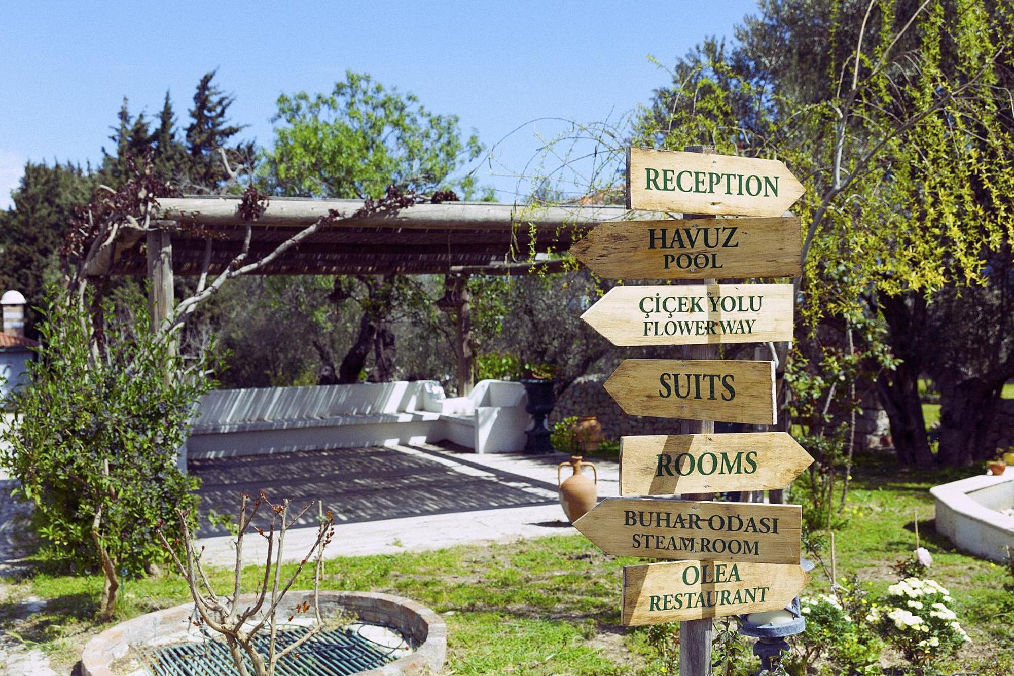Olive Farm Of Datca Guesthouse (Adults Only) Bagian luar foto