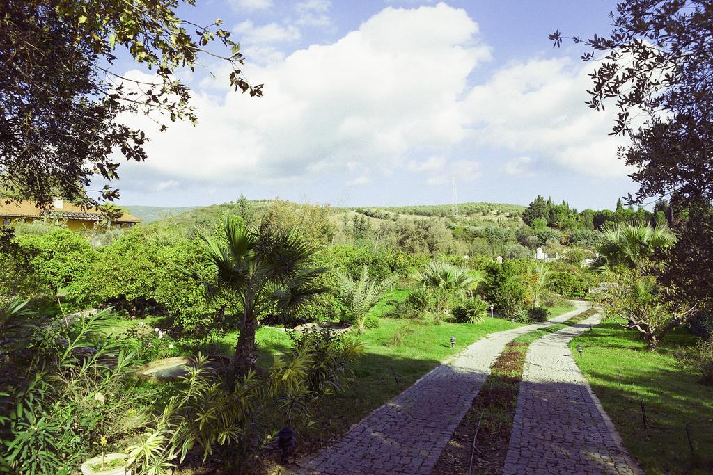 Olive Farm Of Datca Guesthouse (Adults Only) Bagian luar foto