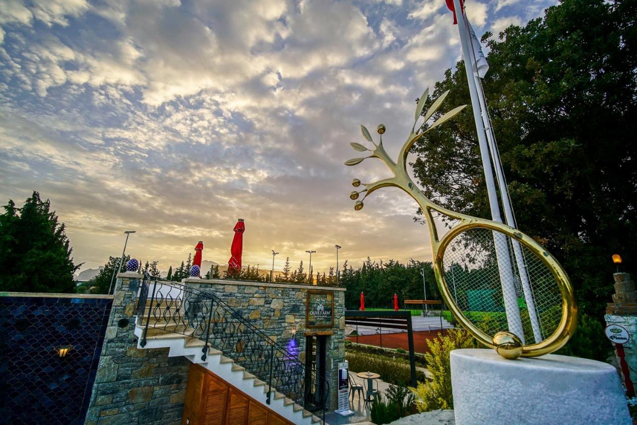 Olive Farm Of Datca Guesthouse (Adults Only) Bagian luar foto