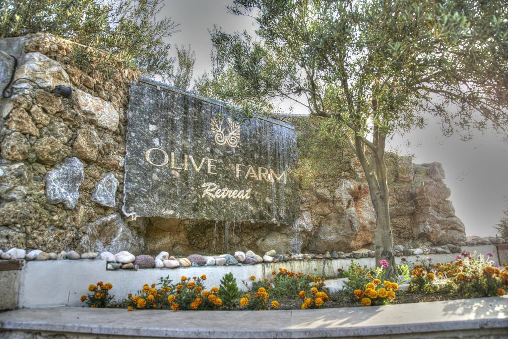 Olive Farm Of Datca Guesthouse (Adults Only) Bagian luar foto