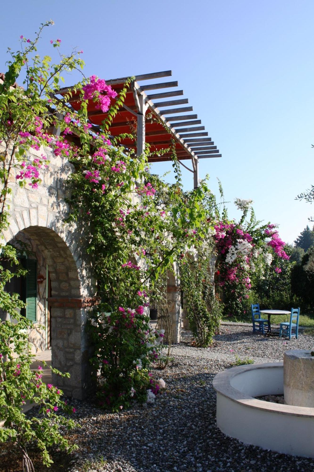 Olive Farm Of Datca Guesthouse (Adults Only) Bagian luar foto