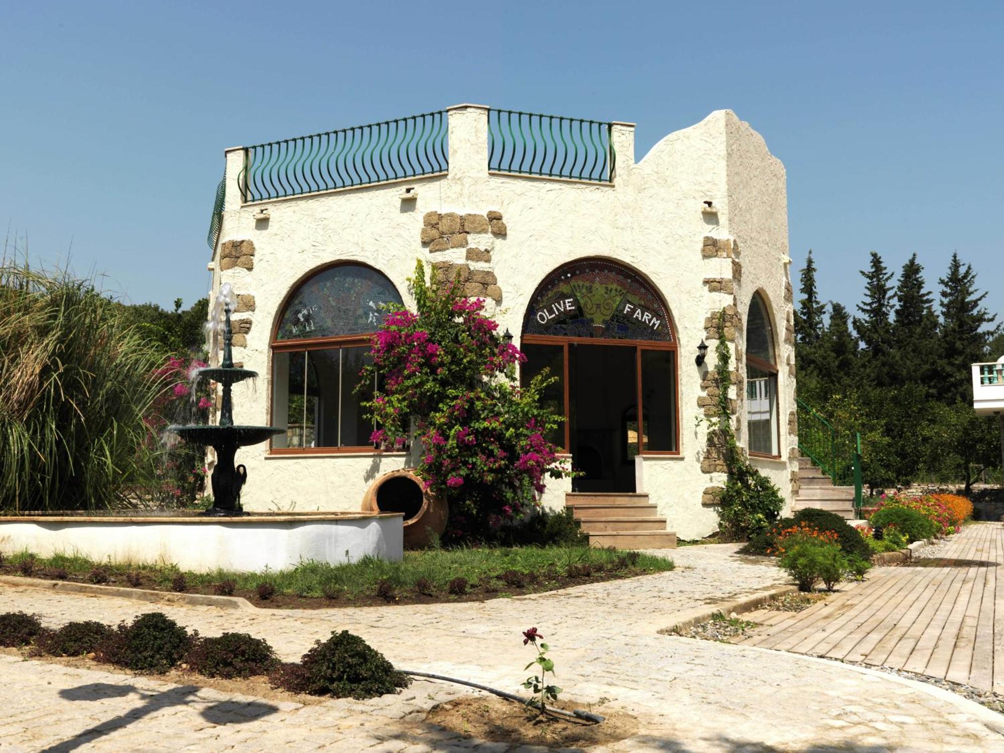 Olive Farm Of Datca Guesthouse (Adults Only) Bagian luar foto