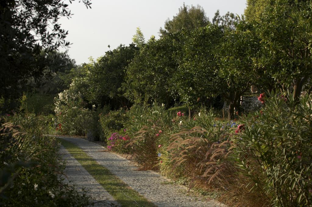 Olive Farm Of Datca Guesthouse (Adults Only) Bagian luar foto