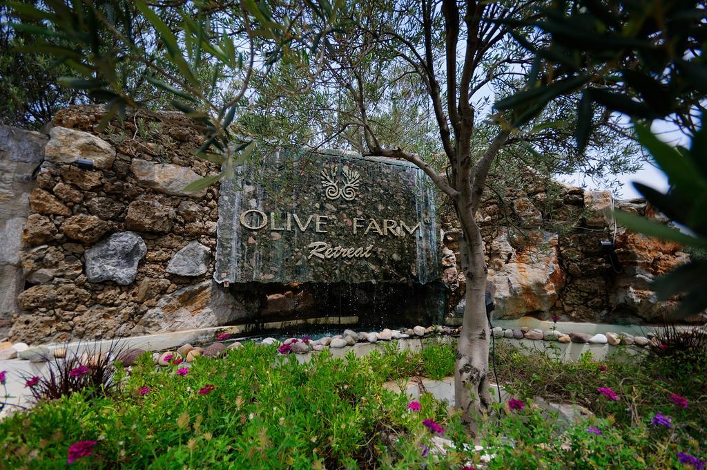 Olive Farm Of Datca Guesthouse (Adults Only) Bagian luar foto