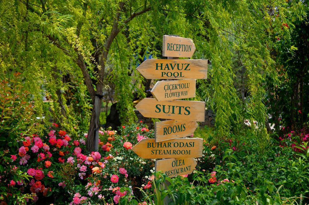Olive Farm Of Datca Guesthouse (Adults Only) Bagian luar foto