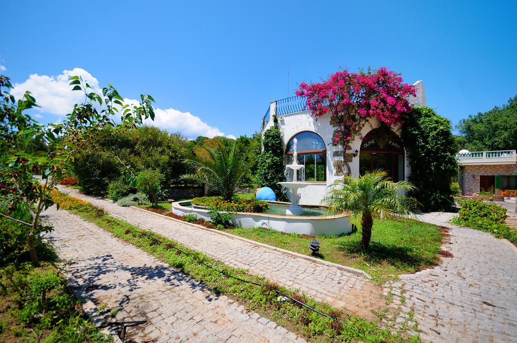 Olive Farm Of Datca Guesthouse (Adults Only) Bagian luar foto