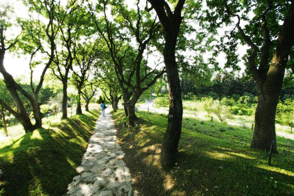 Olive Farm Of Datca Guesthouse (Adults Only) Bagian luar foto