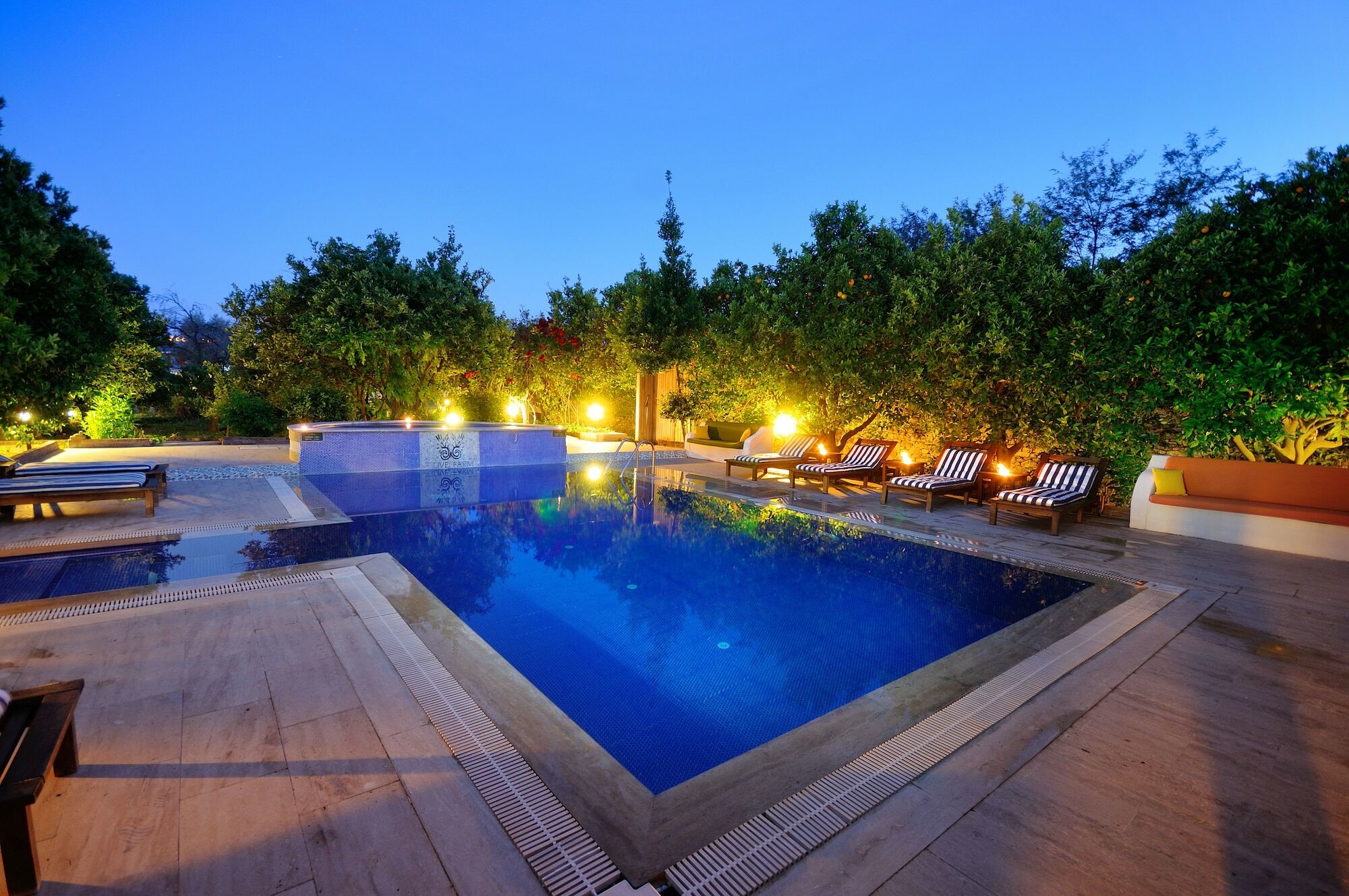 Olive Farm Of Datca Guesthouse (Adults Only) Bagian luar foto